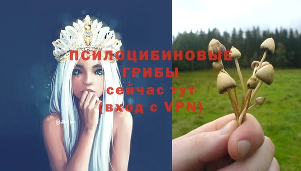 mdpv Волоколамск