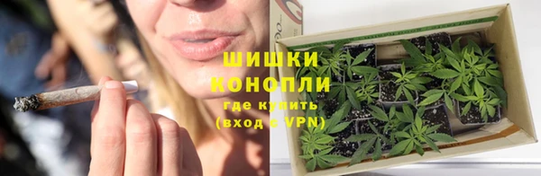 mdpv Волоколамск